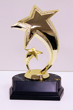 Awards & Recognition & Engraving - Trophies & Cups - Economy Priced $20 ...